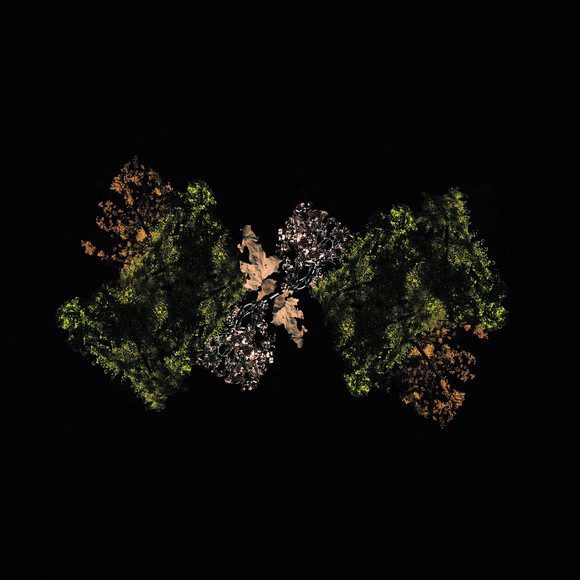 woodsman_medium_image